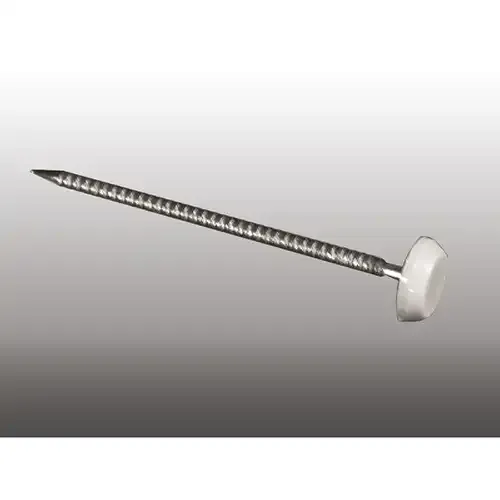 Pointes Inox 6.5cm tête PVC blanc - Boite de 100