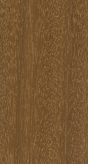 Bangkirai - Rullier Bois