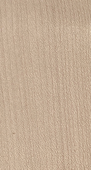 Érable sycomore - Rullier Bois