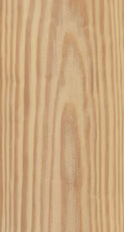 Pin de Caroline (Yellow Pine) - Rullier Bois