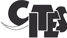 logo cites dark