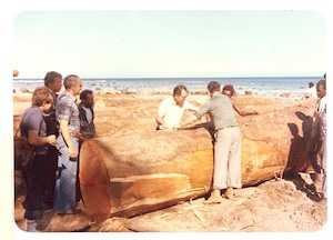 1960 - 1999 : L'ouverture sur le monde