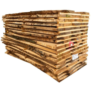 Plot Acacia 45mm