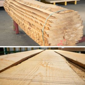 Plot Frêne 34mm