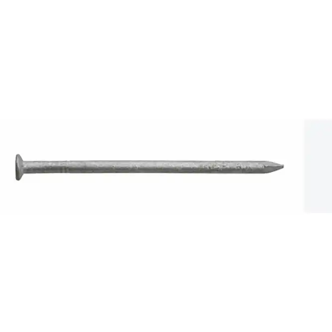 Pointe tête plate Galva - 1kg 31x70 - Boite de 1000