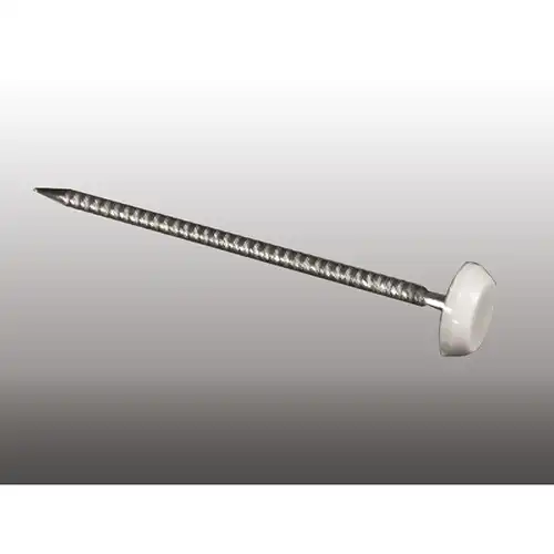 Pointes Inox 5cm tête PVC blanc - Boite de 100